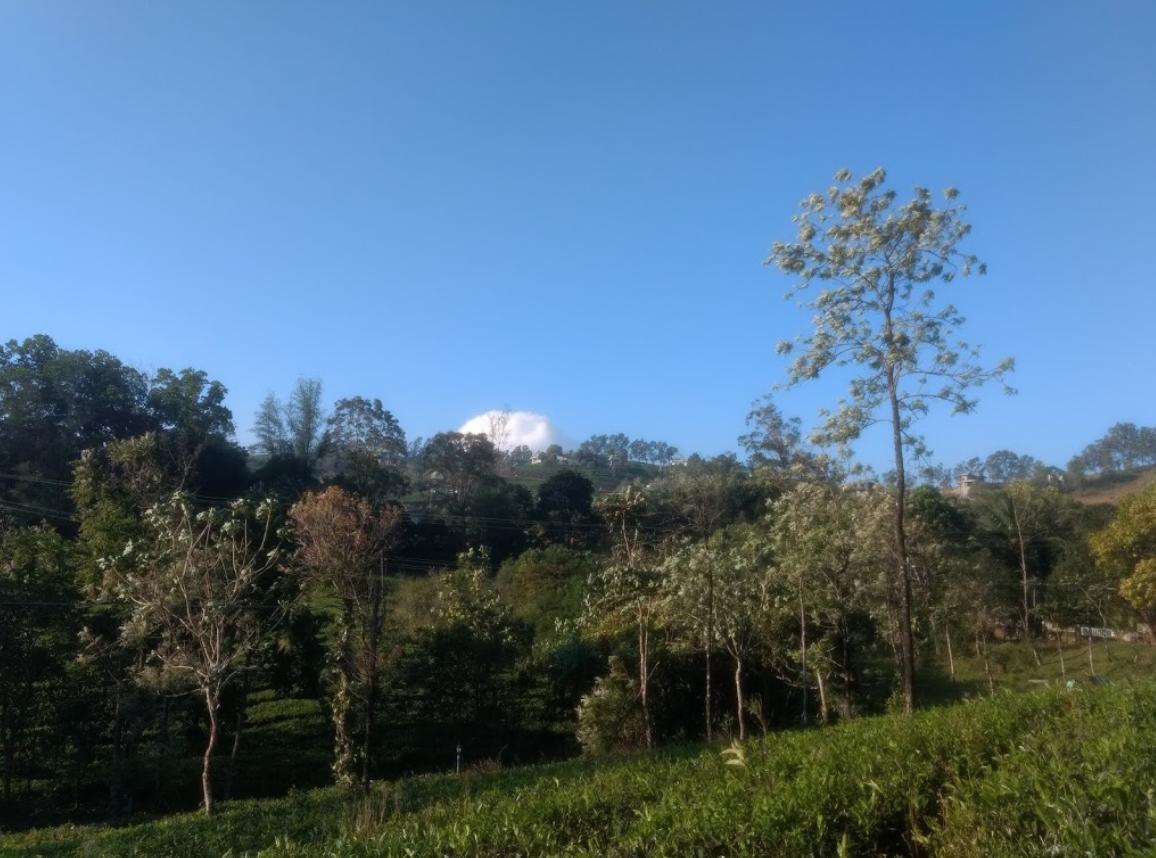 Lavender Hotel Vagamon Exterior photo