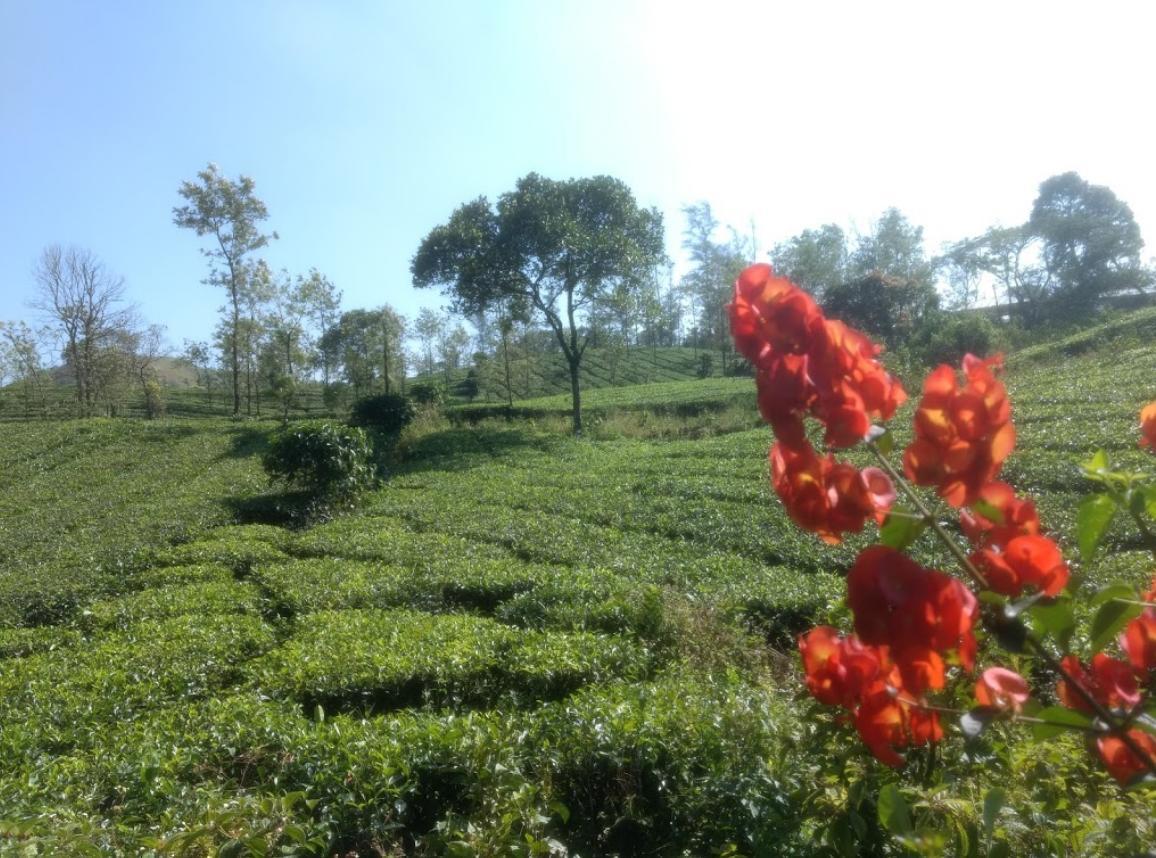 Lavender Hotel Vagamon Exterior photo