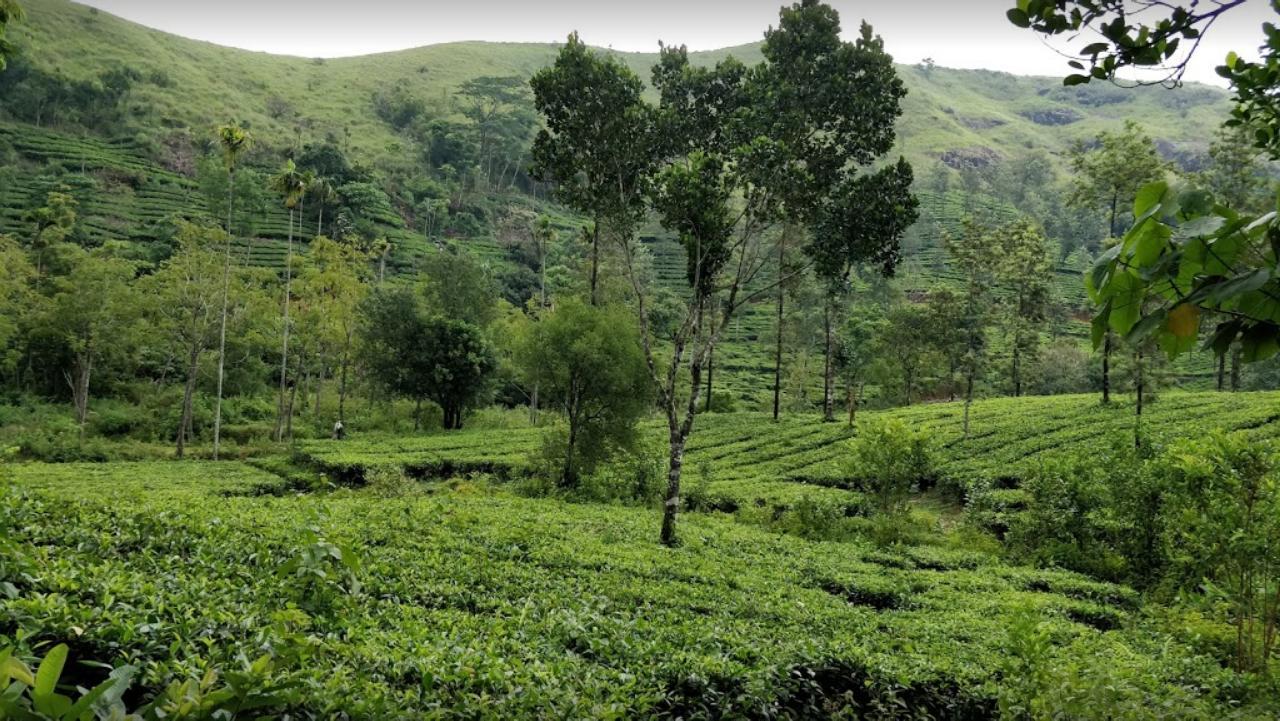 Lavender Hotel Vagamon Exterior photo